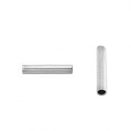 Stainless steel beads tube 5mm Silver