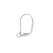 Stainless steel findings closable earrings with loop Silver