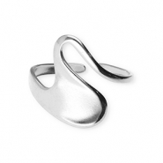 Stainless steel rings Silver