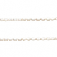 TQ Freshwater pearls rice 5x3 mm Natural white