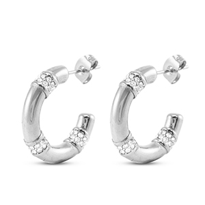 Stainless steel earrings / earpins Silver