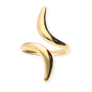 Stainless steel rings Gold