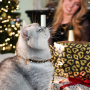Jewellery inspiration with jewellery for the holidays