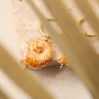 Get creative with DQ Greek ceramic shell beads