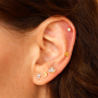 Inspiration time with stainless steel ear piercings