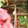Get inspired with BY31&reg; ribbon 